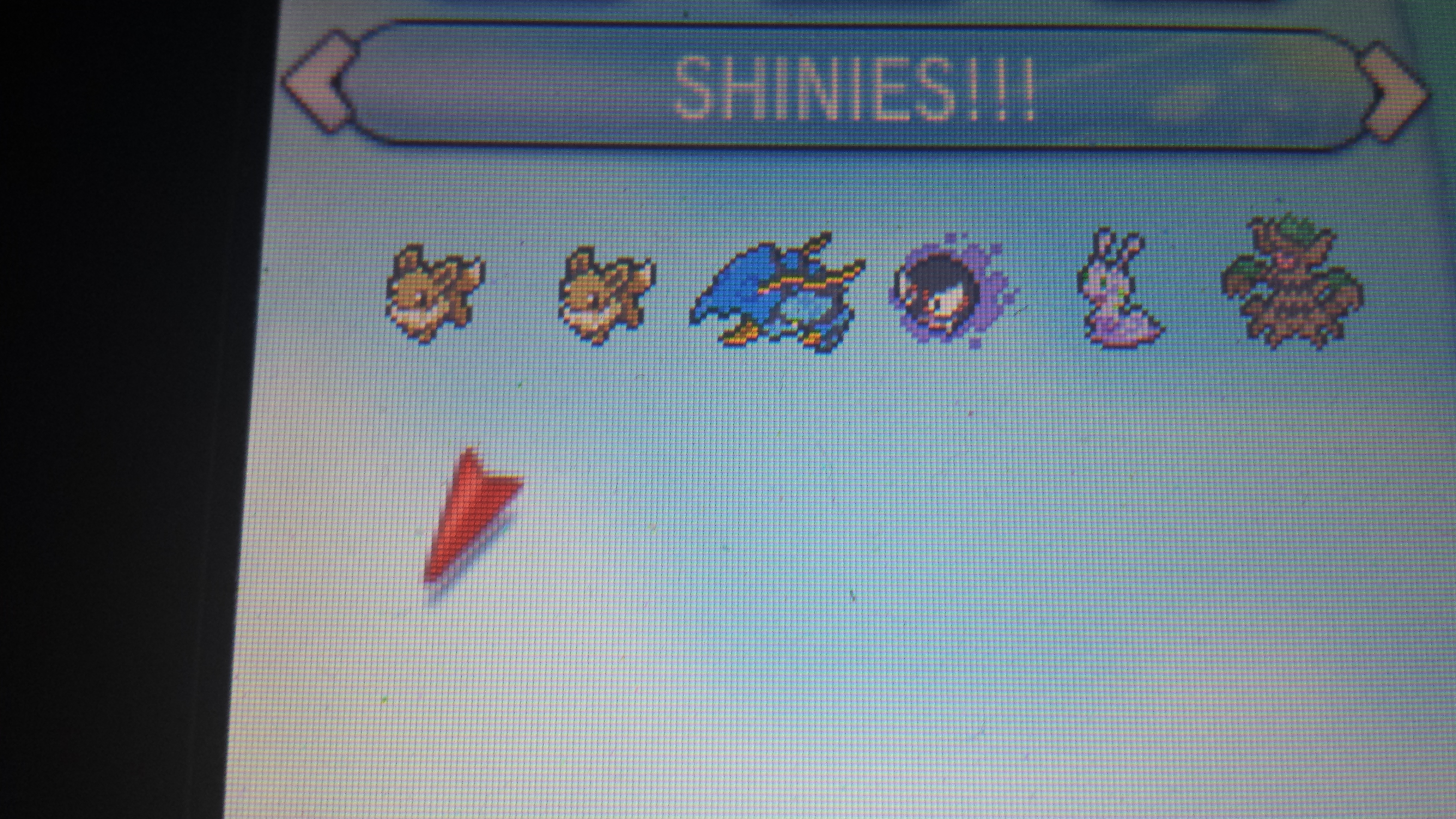 Pokemon y friend safari slots