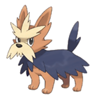Herdier