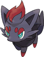 Zorua