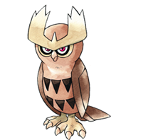 Noctowl