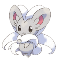 Cinccino