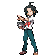 PKMN Trainer