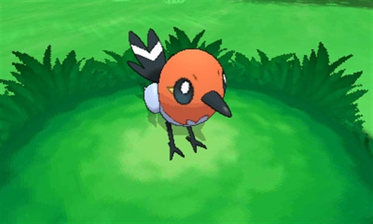 Pokemon Fletchling Evolution Chart